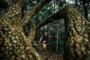 BIB: 
                            <button type="button" onclick="openModal(25671145)" class="btn btn-primary btn-sm float-right btn-popup" data-toggle="modal" data-target=".modal-high-quality">
                        <i class="fas fa-shopping-cart"></i> Add to Cart
                    </button>
                                            <button type="button" onclick="isThisMe(25671145, true)" class="btn btn-success btn-sm float-right btn-popup btn-isme hidden" data-toggle="tooltip" data-placement="bottom" title="นี่คือรูปของคุณใช่ไหม คลิกที่นี่เพื่อเอาเข้าอัลบั้ม">
                        <i class="fas fa-plus"></i> Add to album
                    </button>
                    <button type="button" onclick="isThisMe(25671145, false)" class="btn btn-warning btn-sm float-right btn-popup btn-isnotme hidden">
                        <i class="fas fa-ban"></i> Remove from album
                    </button>